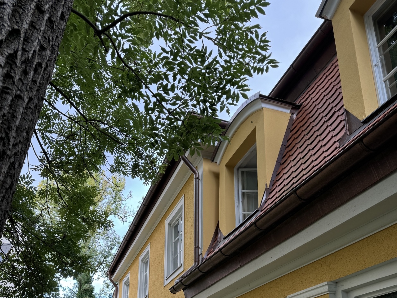 eco+ Architekten - Projekt: Sanierung der Dachhaut bei einem denkmalgeschützen Gebäude